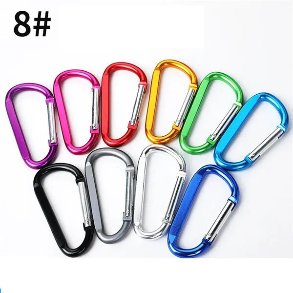Carabiner Key Chain