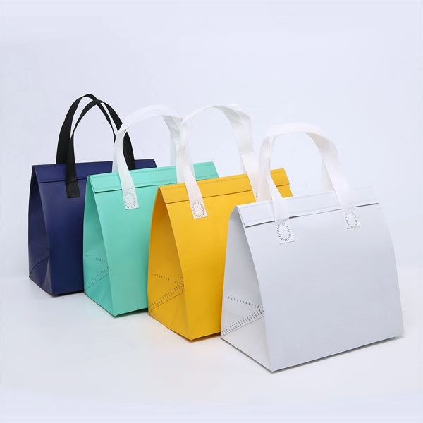 Insulated Cooler Colorful Food Delivery Bag