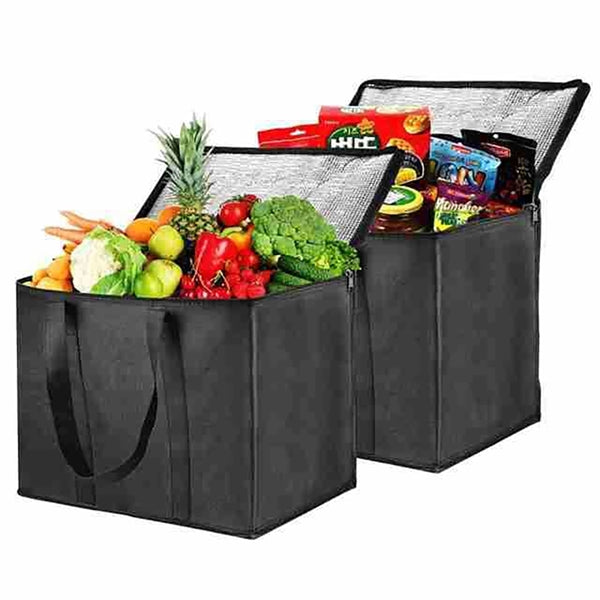 5L Eco-Friendly Non-Woven Insulated Lunch Bag