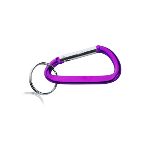 Carabiner Metal Keychains