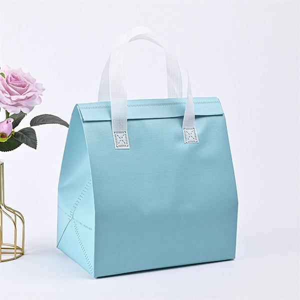 Portable Non-woven Food Fresh Bag