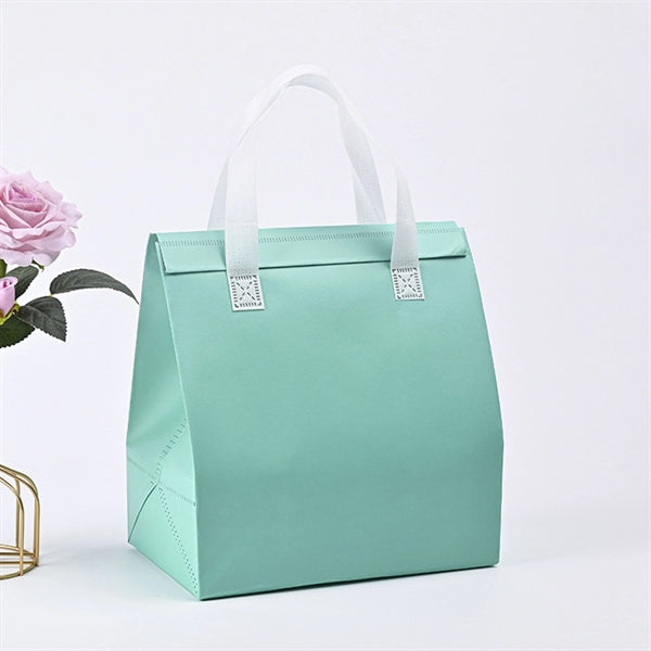 Portable Non-woven Food Fresh Bag