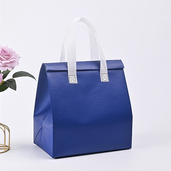 Portable Non-woven Food Fresh Bag