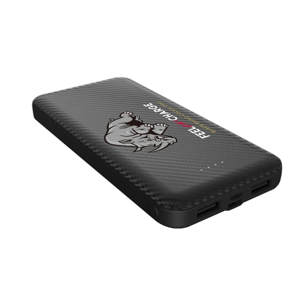The Hegewisch Carbon Fiber 10000mAh Power Bank
