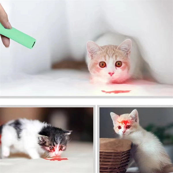 Cat Laser Pointer