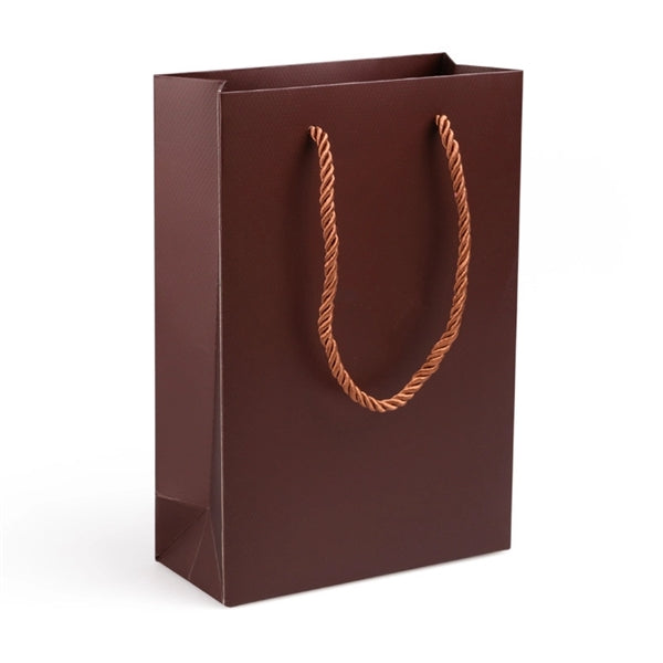 Paper Gift Bag