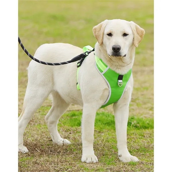 Oxford Chest Strap For Dogs