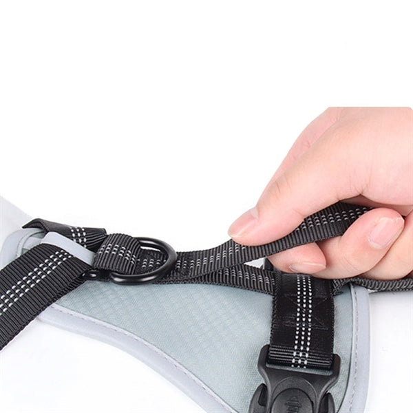 Oxford Chest Strap For Dogs