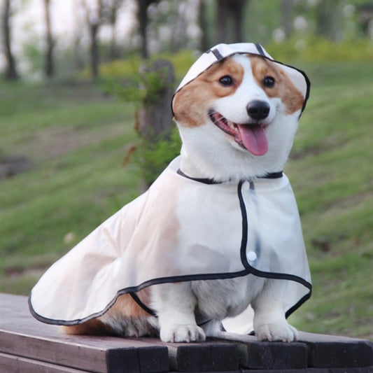 Clear raincoat waterproof dog