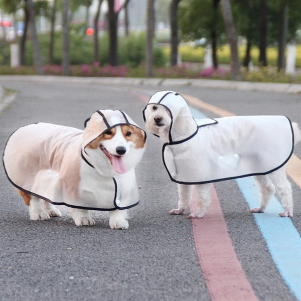 Clear raincoat waterproof dog