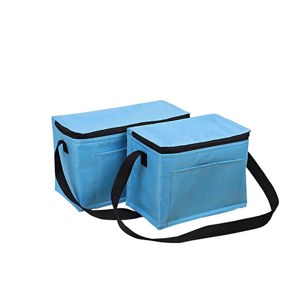 Picnic Insulated Cooler Bag