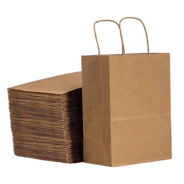 Small Brown Kraft Paper Gift Bag with Handles Bulk