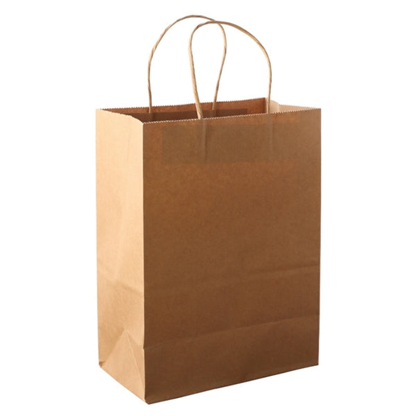 Small Brown Kraft Paper Gift Bag with Handles Bulk
