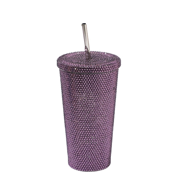 16.9 oz Studded Stainless Steel Tumbler With Lid and Straw