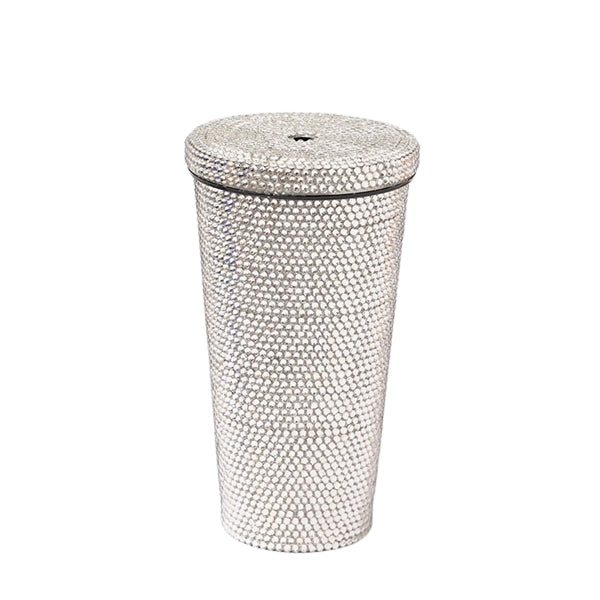 16.9 oz Studded Stainless Steel Tumbler With Lid and Straw