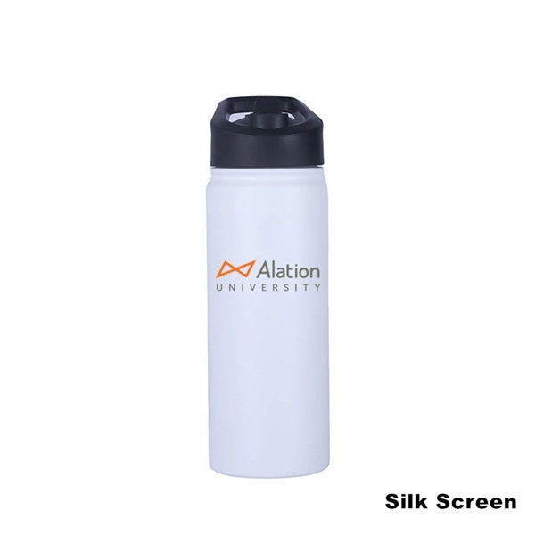 16.9 oz Stainless Steel Double-Wall Thermos Bottle Flask