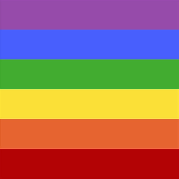 Rainbow LGBT Gay Pride Bandana