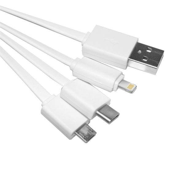 Leyden 4 in1 Charging Cables w/ USB tip