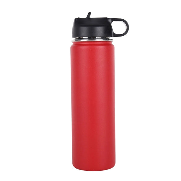 40 Oz. Double Wall Stainless Steel Thermal Bottle w/ Handle