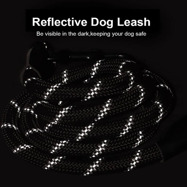 Soft Padded Handle Nylon Dog Leash Reflective Rope
