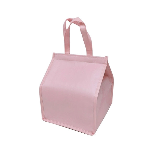 Cooler Bag