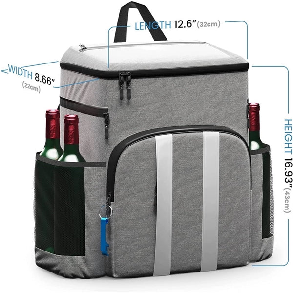 Cooler Lunch Insulated Backpack