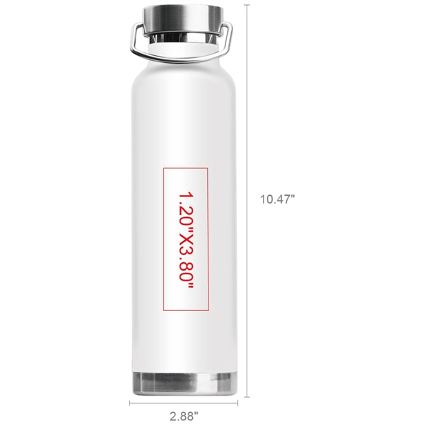 Owens 22oz Stainless Steel Water Bottle