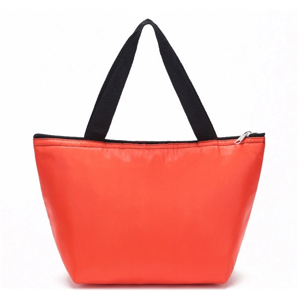 Insulated Lunch Cooler Picnic Tote Bag