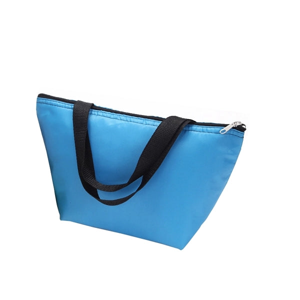 Insulated Lunch Cooler Picnic Tote Bag