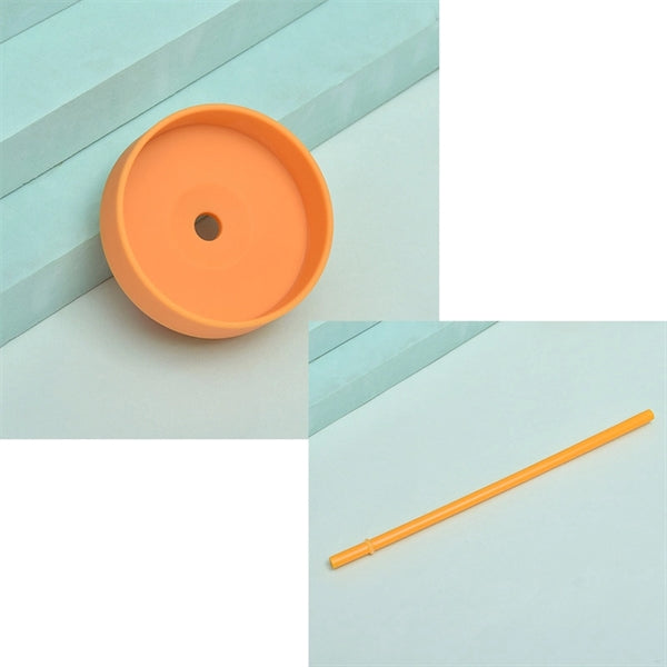16oz Double-Layer Plastic Frosted Straw Cup with Lids