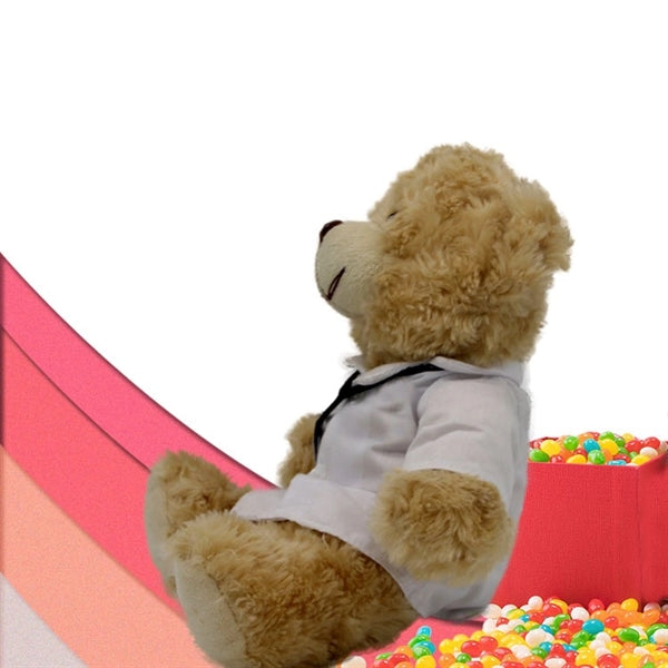 Cute Plush Teddy Bear Toy With A Stethoscope On The Neck