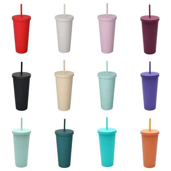 24Oz Double Plastic Outdoor Straw Cup