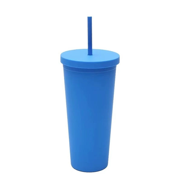 24Oz Double Plastic Outdoor Straw Cup