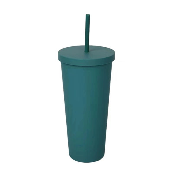 24Oz Double Plastic Outdoor Straw Cup