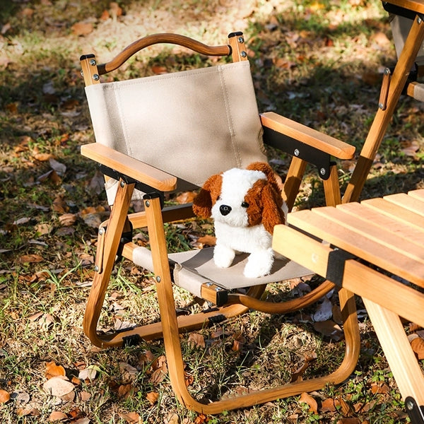 Oxford Kids Camping Chair
