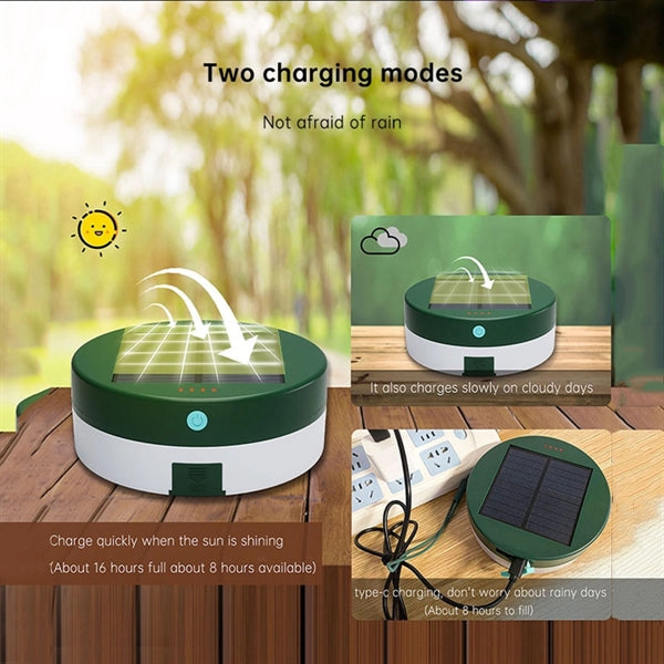 Solar String Lights