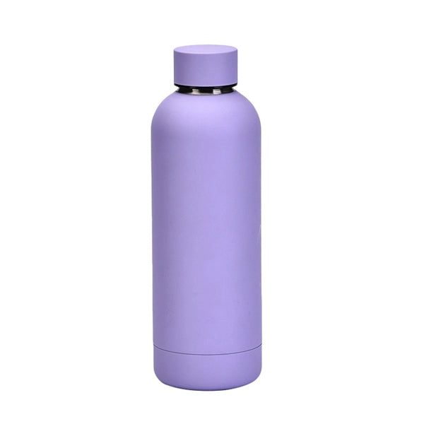 16oz Double Wall Stainless Steel Water Bottle