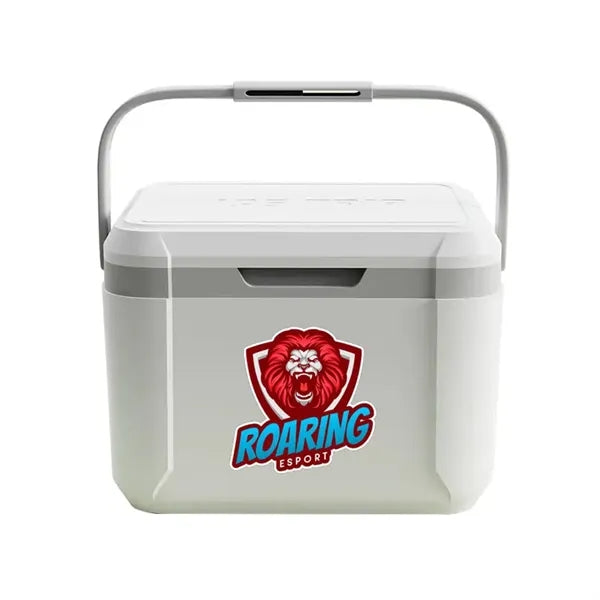 5L Mini Plastic Food Refrigerator Box