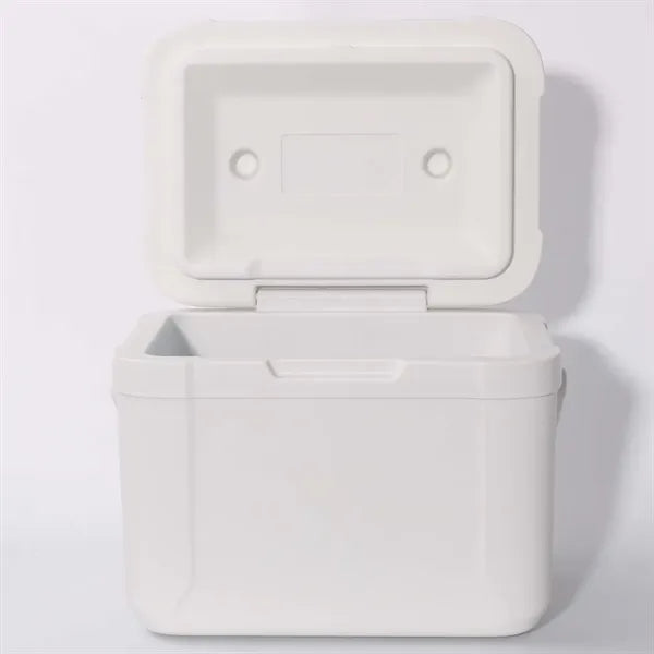 5L Mini Plastic Food Refrigerator Box