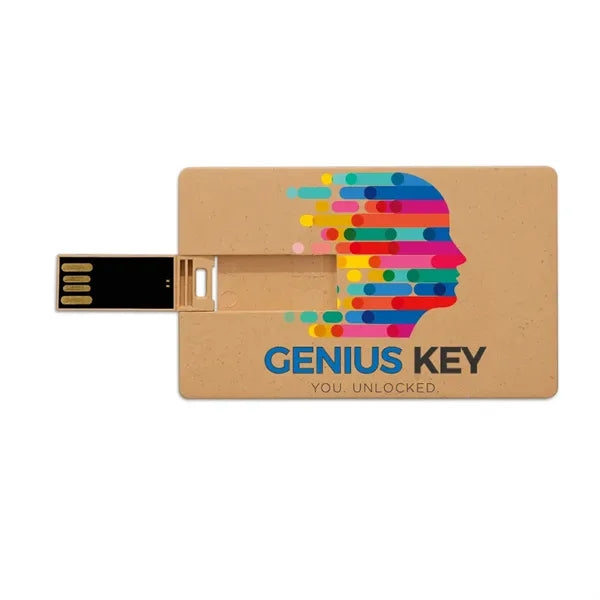 Broadview Eco-Friendly Card USB