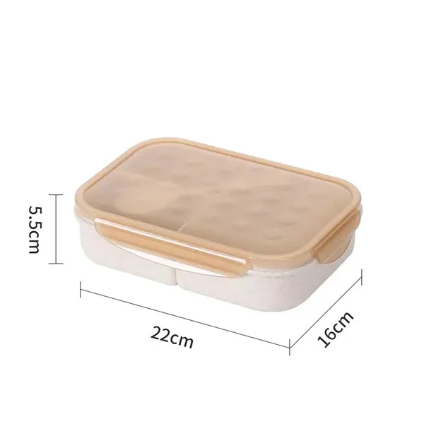 Bento lunch Box for Kids and Adults