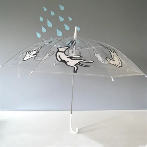 Transparent Automatic Umbrella