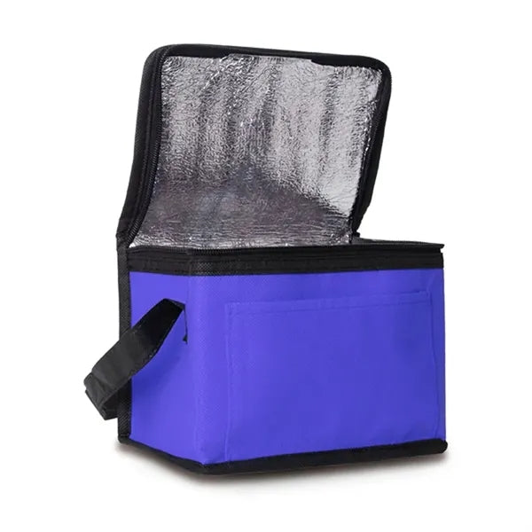6-Pack Insulated Lunch Cooler Bag