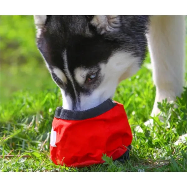 Foldable Nylon Pet Bowl