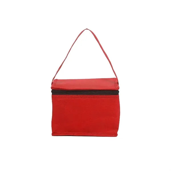 Non woven Insulated Cooler Bag with Long Handle