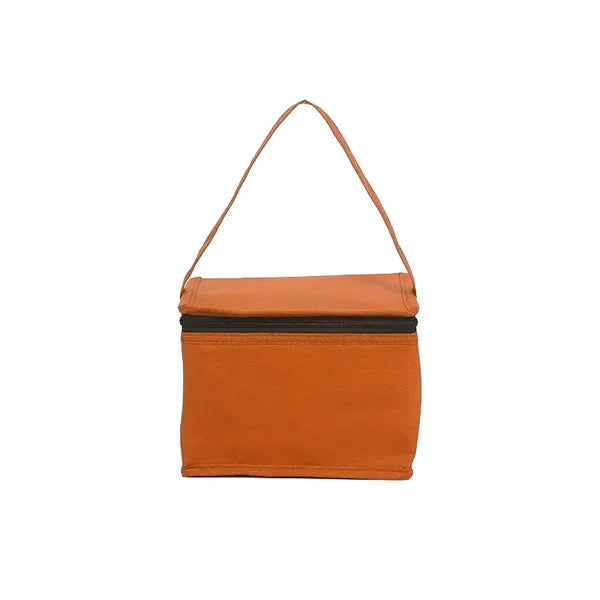 Non woven Insulated Cooler Bag with Long Handle