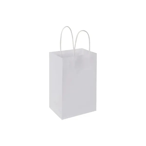 Kraft Paper Party Favor Bags