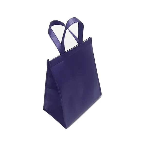 Portable Cooler Bag