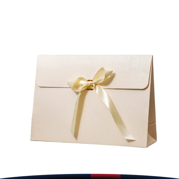 Envelope Gift Bag
