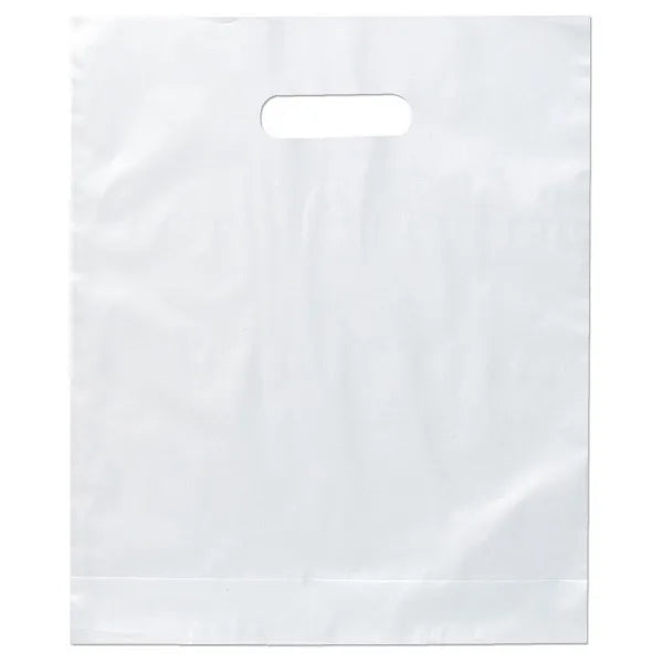 12" x 15" x 3" Die Cut Frosted Plastic Bags